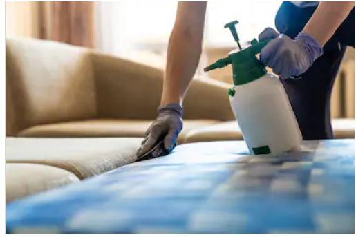 tratamento contra percevejos