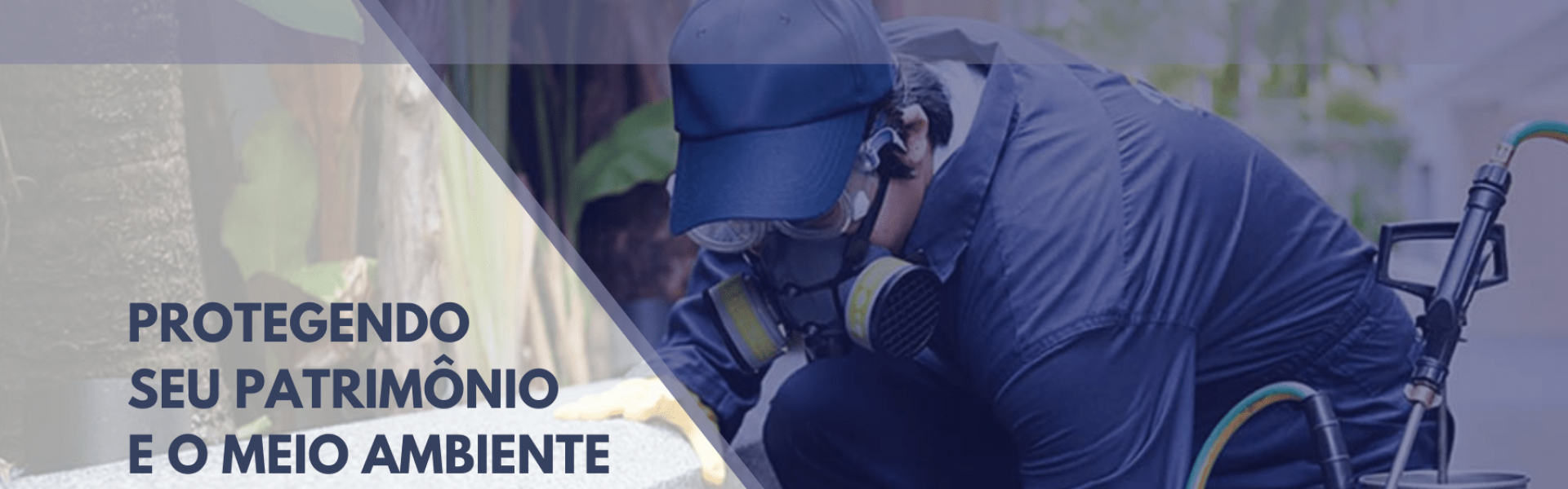 Dedetização, Dedetizadora, Dedetizadora em são Paulo, Biodesin, Bio Desin Dedetização, Dedetizadora, Dedetizadora em são Paulo, Biodesin, Bio Desin